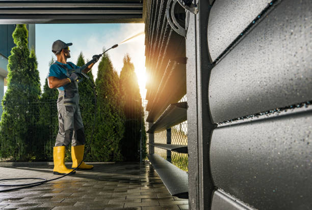 Best House Exterior Washing  in Raymondville, TX